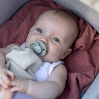 پستانک تکی گرد لاتکس 6 - 18 ماه لیمویی بیبز BIBS (بدون جعبه)