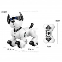 سگ کنترلی هوشمند  LE NENG TOYS - K27