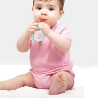 توری میوه خوری با درپوش رنگ صورتی بیبی سیل Babisil