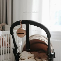 قاب پستانک سیلیکونی رنگ کالباسی چیکو Chicco