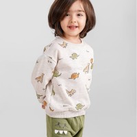 بلوز شلوار پسرانه طرح ژوراسیک رنگ طوسی و سبز ایندیگو Indigo