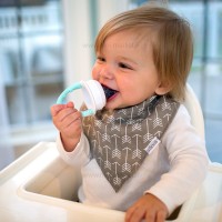 پستانک میوه خوری دکتر برانز Drbrowns سبزآبی