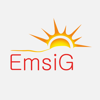 Emsig