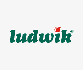 Ludwik