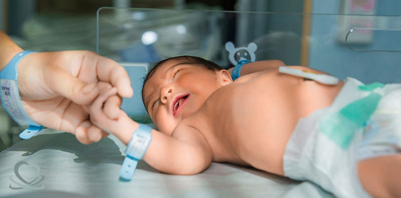 وظیفه بند ناف چیست؟